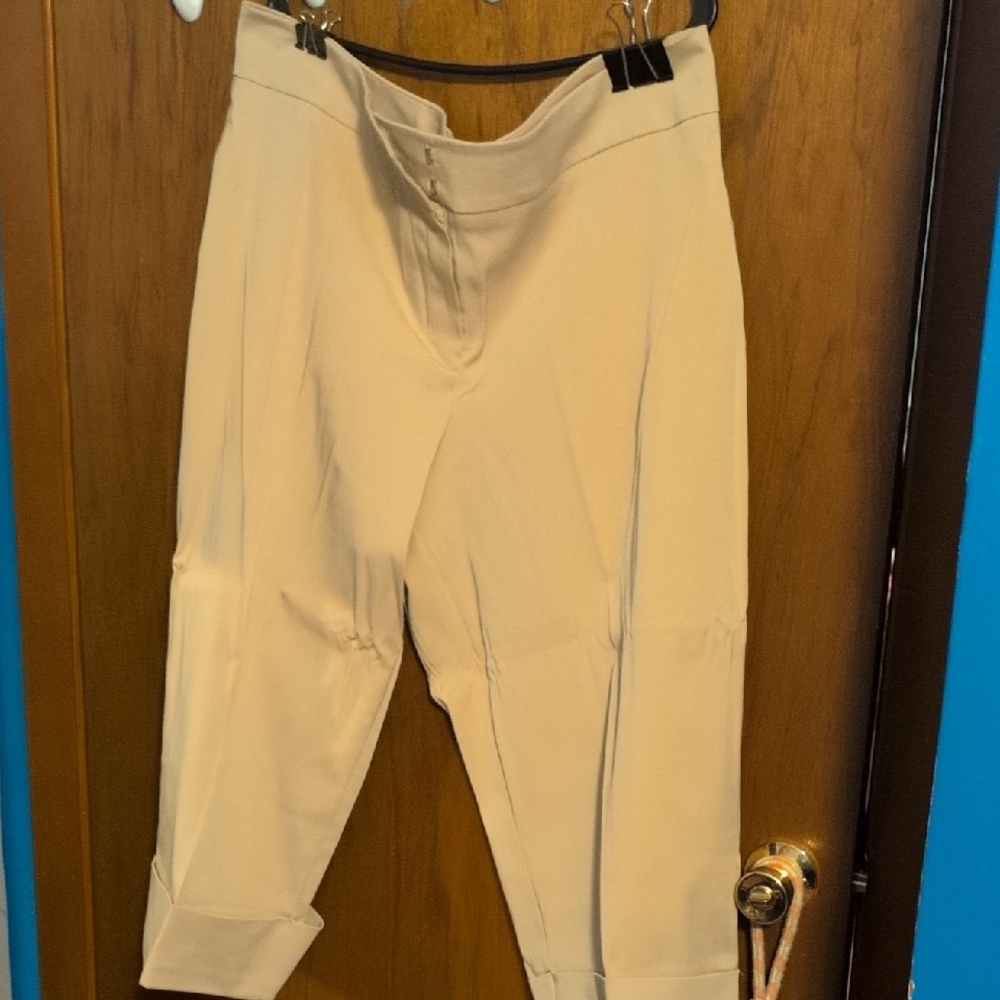 Studio 1940 Tan Cropped Pants